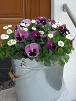 20150512 023.webp