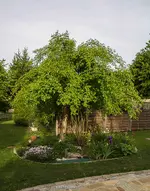 IMG_7648.webp