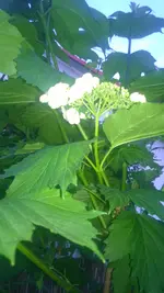 WP_20150512_004.webp