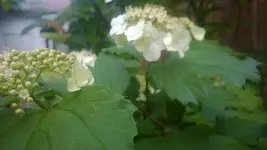 WP_20150512_003.webp