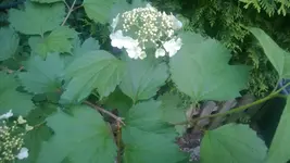 WP_20150512_002.webp