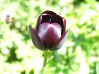 k-DSCF3770.webp