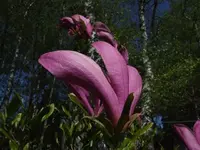 k-DSCF3775.webp