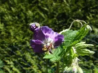 k-DSCF3773.webp