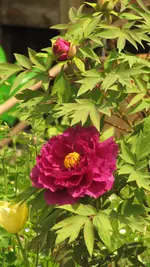 IMG_5734.webp