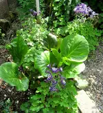 IMG_4464-001.webp