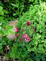 IMG_4468.webp