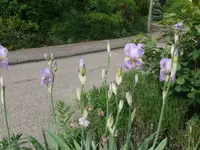 k-P1090130.webp