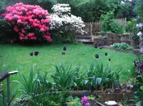 CIMG6408.webp