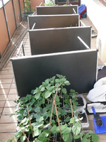 k-P1090132.webp