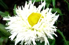 CIMG5599.webp