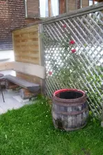 K800_100_1600.webp