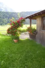 K800_100_1601.webp