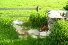 K800_100_1605.webp