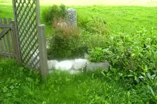 K800_100_1598.webp