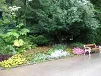 Pflanze3Weg.webp
