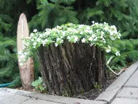 fotos6 070.webp