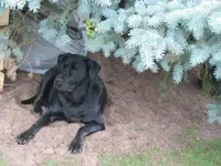 fotos6 050.webp