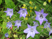 IMG_1991.webp