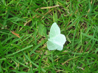 IMG_1994.webp