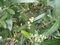 IMGP1863.webp