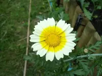 IMGP1865.webp