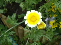 IMGP1867.webp
