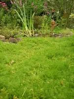 DSCN1604.webp