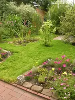 DSCN1606.webp