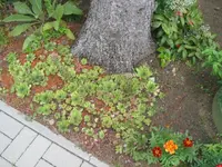 fotos6 022.webp