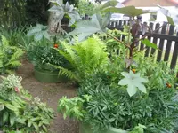 fotos6 023.webp