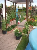 Garten 30.6.09 009.webp