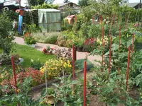 Garten 30.6.09 011.webp