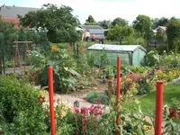 Garten 30.6.09 012.webp