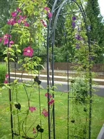 DSCN1020.webp