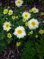 DSCN1021.webp