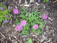 DSCN1023.webp