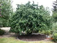 26.06.2009 103.webp