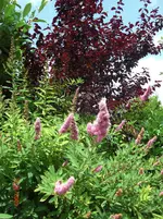26.06.2009 110.webp
