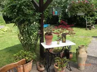 26.06.2009 117.webp