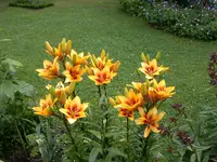DSCN7075.webp