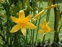 DSCN6204.webp