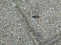 IMG_1998.webp