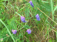 IMG_1959.webp