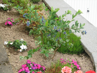 IMG_1960.webp