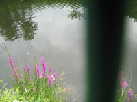 IMG_1961.webp