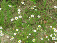 IMG_1964.webp
