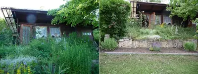 2806-3.webp