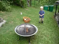 2806-2.webp