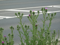 IMG_1972.webp